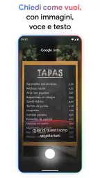 Google 3