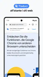 Google Chrome 3