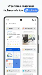 Google Chrome 4