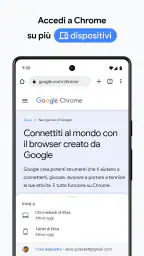 Google Chrome 5