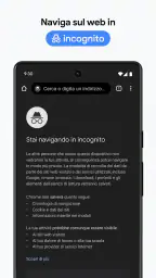 Google Chrome 6