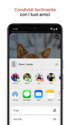 Google Foto 5