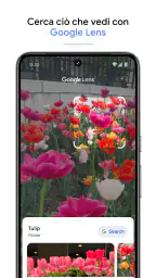 Google Foto 6