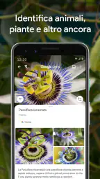 Google Lens 3