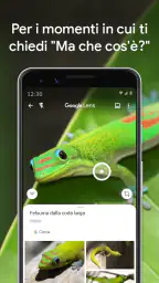 Google Lens 7