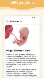 Gravidanza 2
