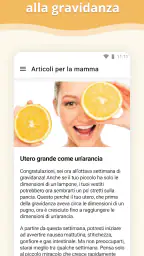 Gravidanza 8