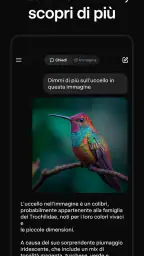 Grok - Assistente IA 3