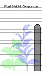 Height Measurement App 3