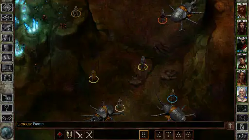 Icewind Dale: Enhanced Edition 5