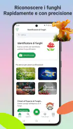Identificatore di funghi 1