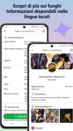 Identificatore di funghi 2