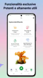 Identificatore di funghi 3
