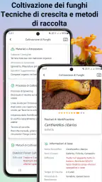 Identificatore di funghi 4