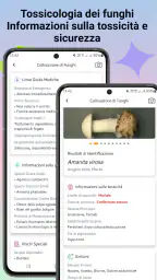 Identificatore di funghi 5