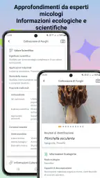 Identificatore di funghi 7