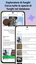 Identificatore di funghi 8