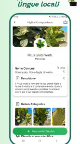 Identificatore di piante screenshot