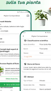Identificatore di piante screenshot