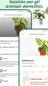 Identificatore di piante screenshot