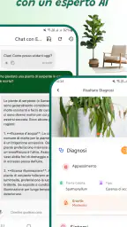 Identificatore di piante 7