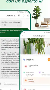 Identificatore di piante screenshot