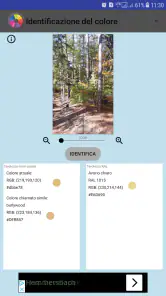 Identificazione del colore screenshot