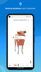IMAIOS vet-Anatomy 4