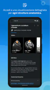 IMAIOS vet-Anatomy screenshot