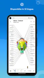 IMAIOS vet-Anatomy 7