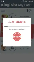 Inglesina Ally Pad 4