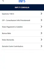 INPS Mobile 7