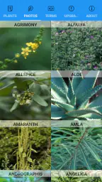 iPlant with Brigitte Mars 6