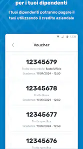 itTaxi screenshot