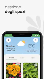 Joyflo | Riconoscere piante 5