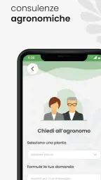 Joyflo | Riconoscere piante 7