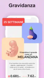 La mia gravidanza in italiano 1