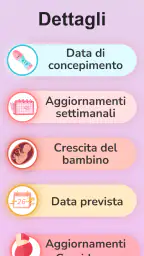 La mia gravidanza in italiano 2
