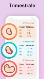La mia gravidanza in italiano 4