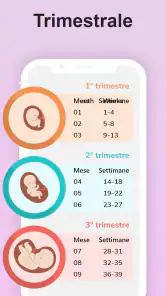 La mia gravidanza in italiano screenshot