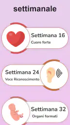 La mia gravidanza in italiano 6