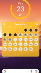 Lady Pill Widgets 3