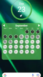 Lady Pill Widgets 4