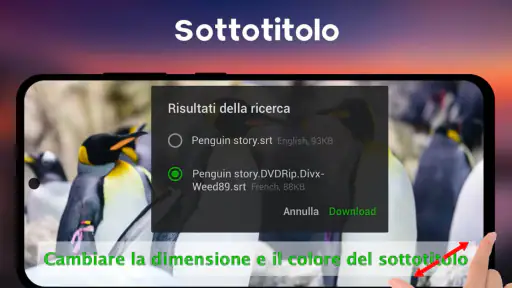 Lettore Video Tutti Formati 8