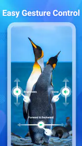 Lettore video Tutti i formati screenshot