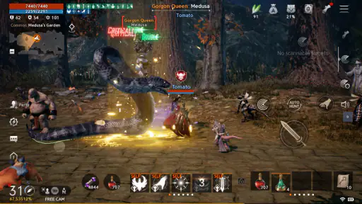 Lineage2M 4
