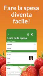 Lista della spesa OurGroceries 1