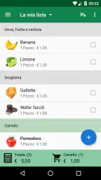 Lista della spesa - SoftList 1