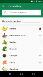 Lista della spesa - SoftList 2