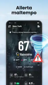 Local Weather screenshot